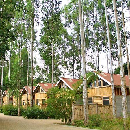 The Great Outdoors Uganda Hotel Vumba Eksteriør billede